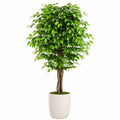 Kunstbaum Ficus 180 cm Grün mit Kunststoffblättern für Innenräume