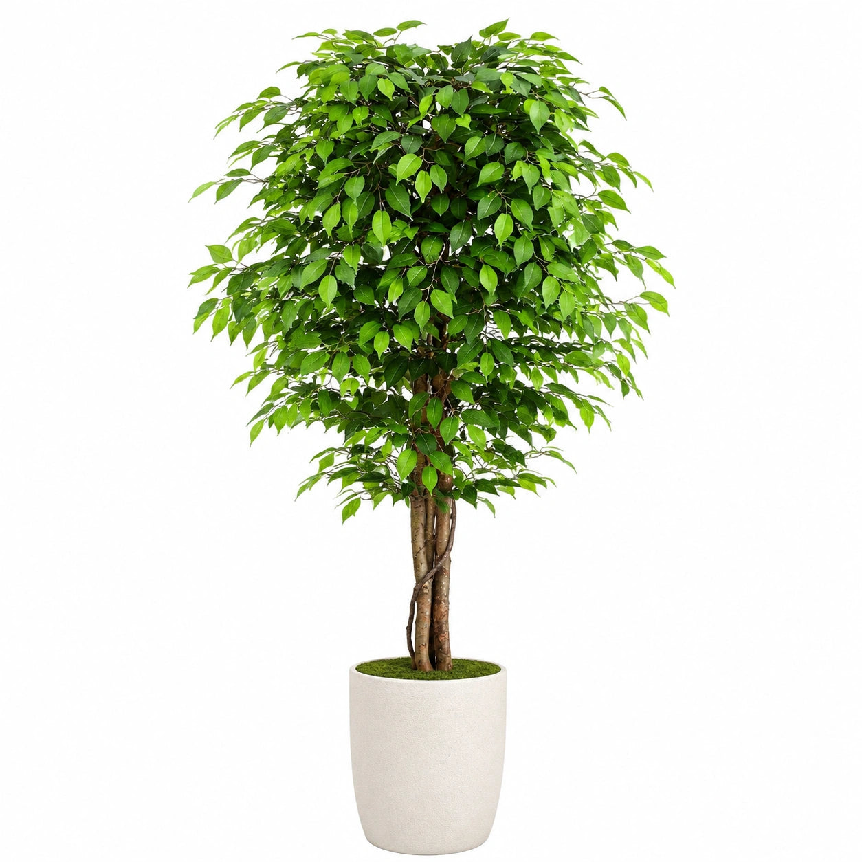 Kunstbaum Ficus 180 cm Grün mit Kunststoffblättern für Innenräume